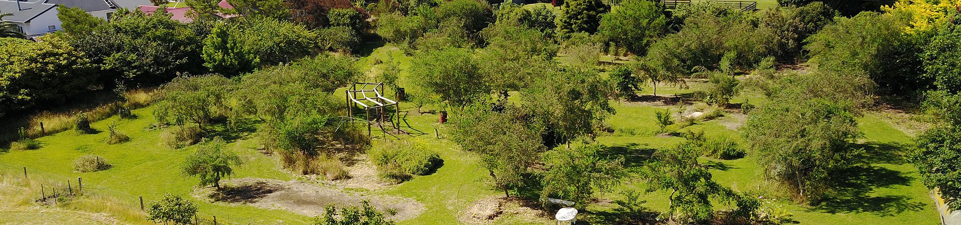 Food Forest